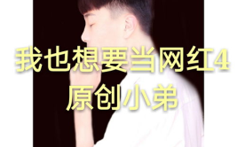 我也想要当网红2歌词,揭秘我也想要当网红2歌词背后的故事