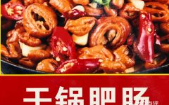 阿康小姐姐,揭秘网络红人的魅力与影响力