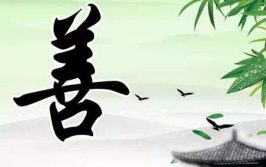 善写真,捕捉美好瞬间的艺术之旅
